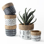 Nordic Cement Planter – Minimalist Indoor Pot