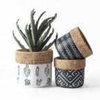 Nordic Cement Planter – Minimalist Indoor Pot