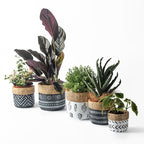 Nordic Cement Planter – Minimalist Indoor Pot